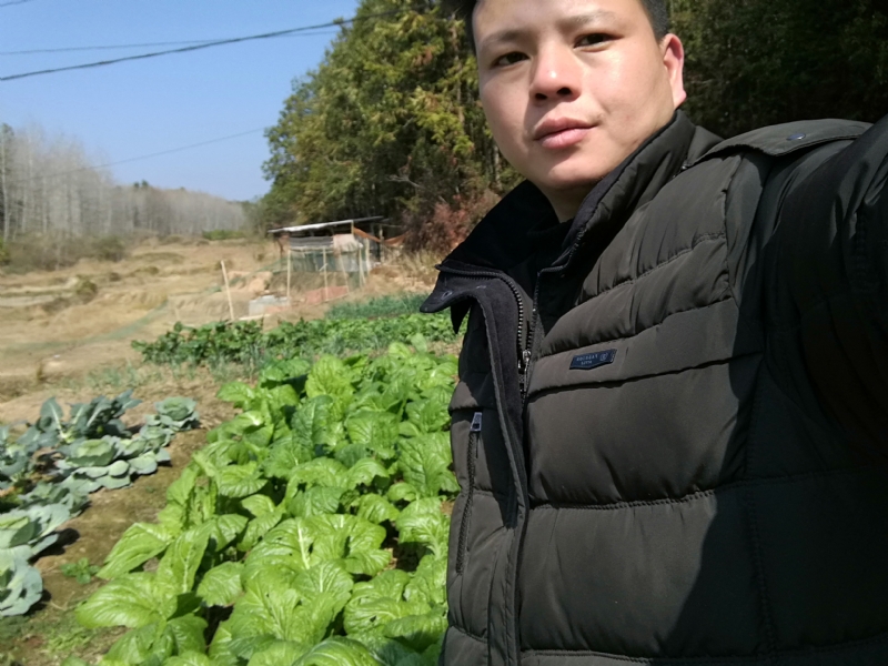 倔强的驴的第一张照片--惠安交友网