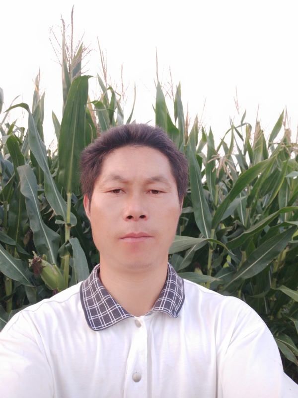 四海游龙的第一张照片--惠安交友网