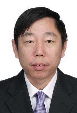 绿油油的榕树的第一张照片--惠安交友网