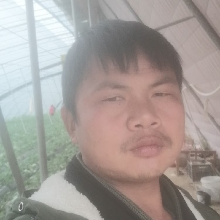 孤狼‘的第一张照片--惠安交友网