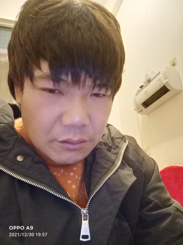 小鸟找窝的第二张照片--惠安交友网