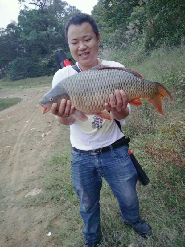 迷路的男人的第一张照片--惠安交友网
