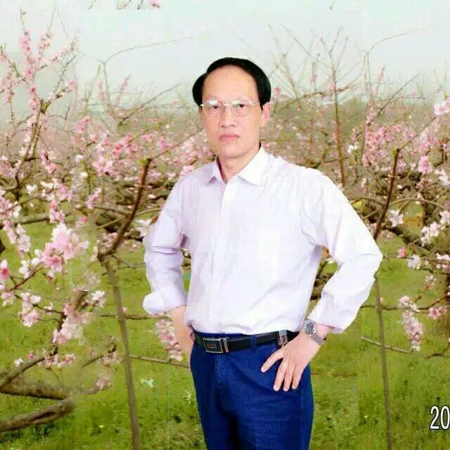枫叶的第一张照片--惠安交友网